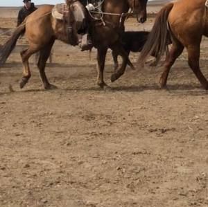 Meet your Posher, Steven